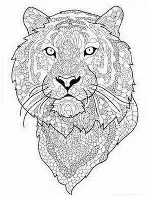 Раскраски сложные животные тигры