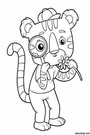 Раскраска Антистресс мордочка тигра