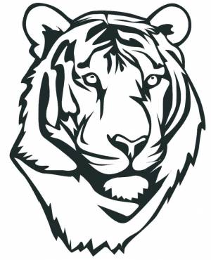 Раскраски Раскраска антистресс медведь Дикие животные, Раскраска Морда тигра Дикие животные