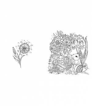 Раскраска Die Welt unter der Lupe