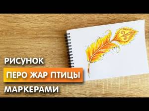 Как нарисовать перо жар птицы карандашом и скетч маркерами