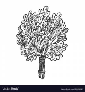 Веник для бани рисунок