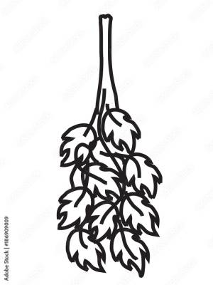 Банный веник Векторный объект Stock