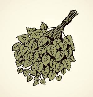 Веник для бани нарисованный