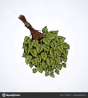 Ванна метла