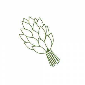 банные веники с доставкой по России