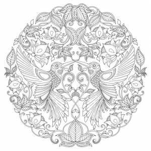 Раскраски-антистресс от Джоанны Бэсфорд