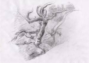 Простой карандаш