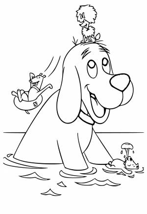Раскраска Клиффорд Плавание
