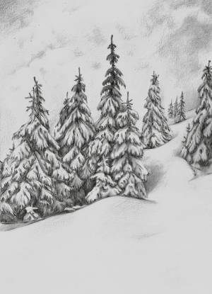 Рисунок зимний лес легкий карандашом