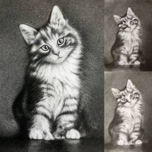 Рисунок в технике сухая кисть