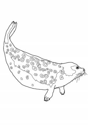 Раскраски, море