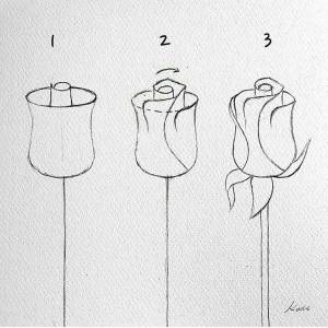 Легкий рисунок карандашом пошагово