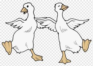 Книжка-раскраска Goose Duck Child, гусь, ребенок, животные, курица png