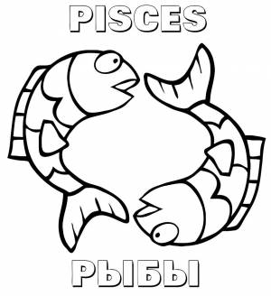 Раскраски зодиак, Раскраска Рыбы Знаки Зодиака