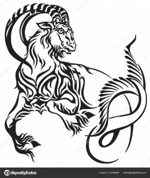 Pin on ЗОДИАКИ