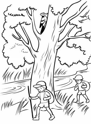 Раскраска Дети в походе