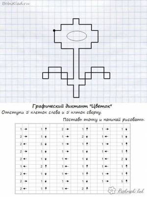 Раскраски Графический диктант Графический диктант , рисуем по клеточкам цветок