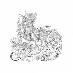 КР Раскраска-скетчбук Мир поразительных существ Кэна Мацуды серии Ты-художник Белая с кроликом 99906836