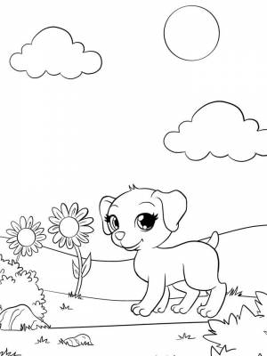 Раскраска Маджики  для мальчиков