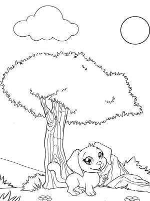 Раскраски Маджики   в формате