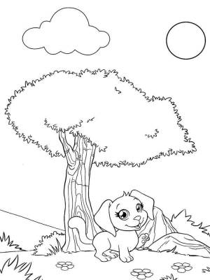 Раскраски Маджики