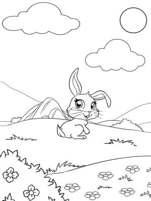 Раскраска Маджики 14