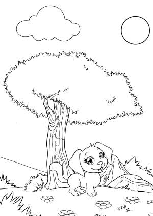 Раскраска Маджики