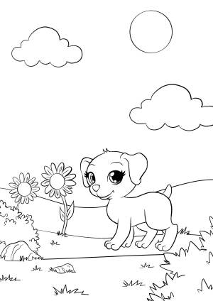 Раскраска Маджики