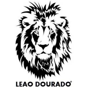 Трафарет льва