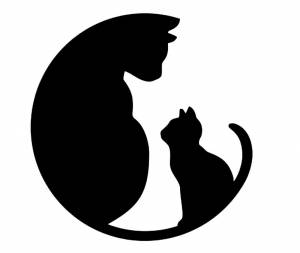 Трафареты Кошек