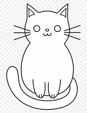 Раскраски кошка круглая