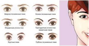 Формы глаз у человека