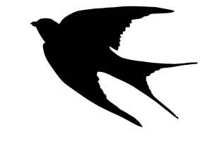 Трафареты и шаблоны Ласточек
