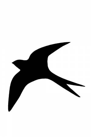 Трафареты и шаблоны Ласточек