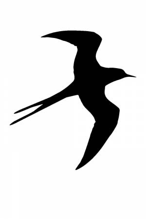 Трафареты и шаблоны Ласточек