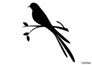 Трафарет Ласточка на веточке для вырезания