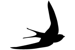 Трафареты и шаблоны Ласточек