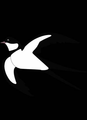 Раскраска Ласточка