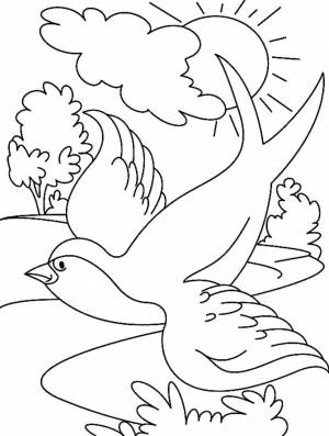 Раскраска «Ласточка в полёте»