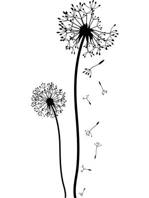 Трафареты Одуванчика