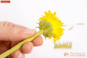 Фоамиран «Солнечные цветы»