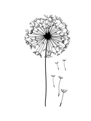 Трафареты Одуванчики
