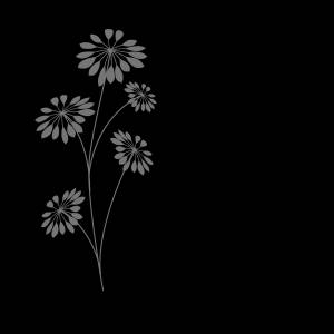 Трафарет Многоцветные одуванчики