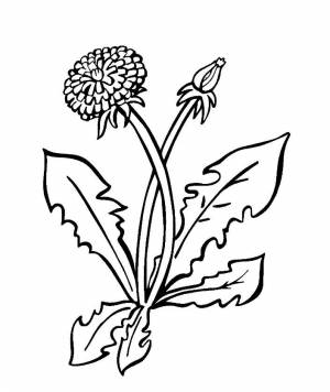 Одуванчик своими руками