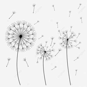 рисунок Рисованной линии рисования одуванчика PNG , рисунок льва, рисунок крыла, рисунок одуванчика PNG картинки и пнг PSD рисунок для й загрузки