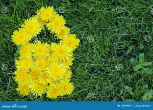 одуванчик цветет дом формы стоковое изображение