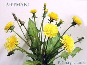 Ботаническое строение Одуванчика