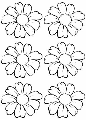 Трафареты Ромашки