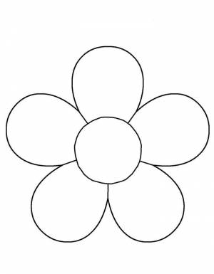 Ромашка раскраска 5 лепестков
